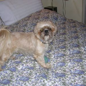 Meet your Posher, Anita